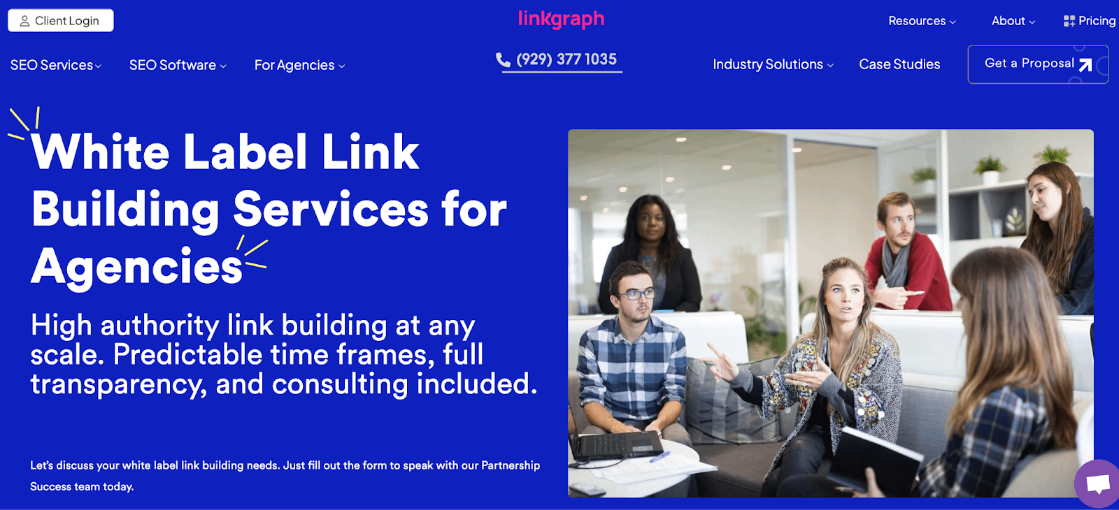 Linkgraph agency website
