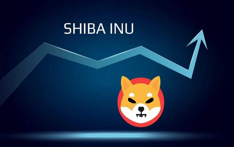 SHIBA INU