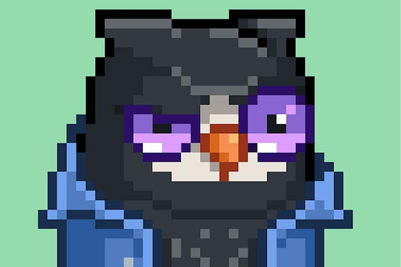 Moonbirds Fly High – NFT Review