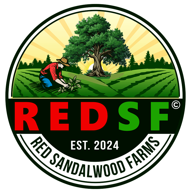 REDSF Launches First-Ever Web3 Gaming Platform Integrating AI with Real-World Asset Rewards